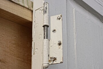 one old large iron gray door hinge in white paint on a plank of a wooden door