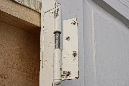 one old large iron gray door hinge in white paint on a plank of a wooden door