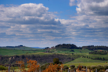 Obraz premium vista toscana con colori spettacolari