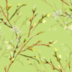 Watercolor illustration of a flowering branch.The motive of the tree branch, the image on a white and colored background.Seamless pattern.