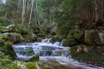 Obraz premium Cascade falls over mossy rocks