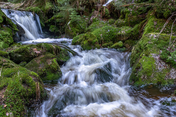 Fototapeta premium Cascade falls over mossy rocks