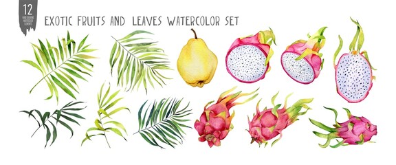 Fresh quince, leaves and dragonfruts watercolor set, halves, slices, bites. Handdrawn tropical fruits. Isolation on white watercolor set. 