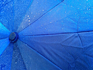 umbrella in the rain © Marianna