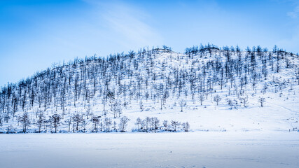 Wooded hill on the shore of Lake Baikal