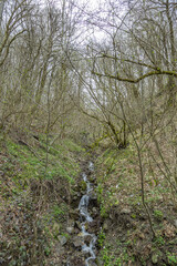Small water stream flows down the mountainside with trees at daytime