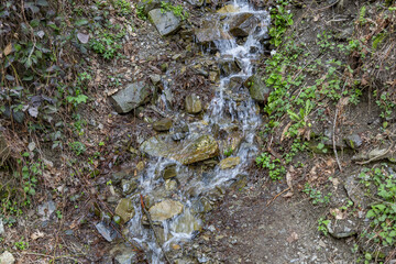 Obraz premium Small water stream flows down the mountainside with trees at daytime