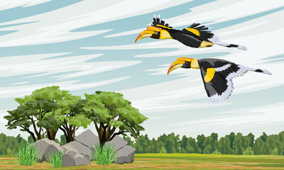 A pair of Great hornbill Buceros bicornis fly over a valley with rare trees and rocks. Realistic vector landscape
