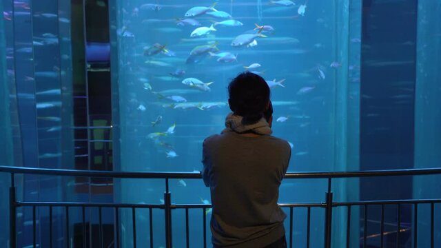 Back view on woman using audioguide standing in front giant round light blue aquarium with small beautiful fish. Girl listening to guide enjoying sight of sea creatures.