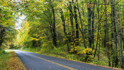 Obraz premium Roadway Meandering Through the Autumn Appalachian Mountains Along the Blue Ridge Parkway