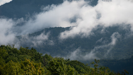 Foggy Morning in the Valleys of the Appalachian Mountains View from The Blue Ridge Parkway