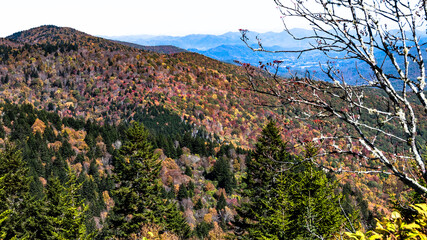 Autumn in the Appalachian Mountains Viewed Along the Blue Ridge Parkway