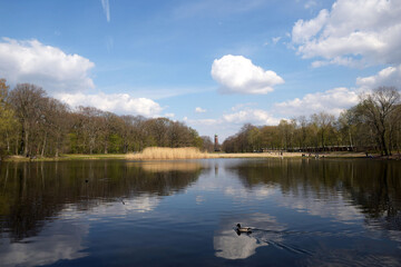 jungfernheidesee