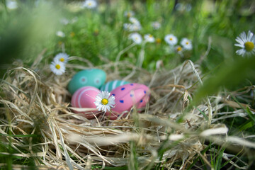 Easter eggs and bunny ears on grass