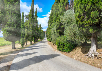 Aerial view of Banfi Castle from drone in Tuscany, spring season