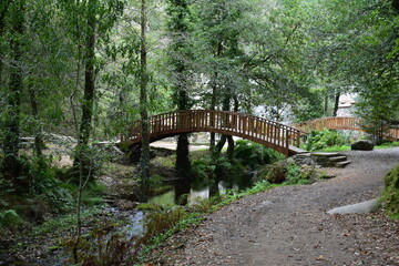 PUENTE MADERA