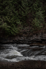 Fototapeta premium Amazing long exposure of a river in a Canadien forest