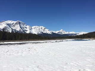 Fototapeta na wymiar Scenic Jasper National park with perfect blue skies 