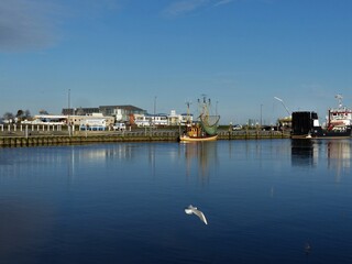 Panorama mit Fischkutter und fliegender Möwe am Hafen in Bensersiel / Ostfriesland