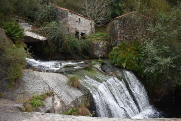 PARQUE NATURAL