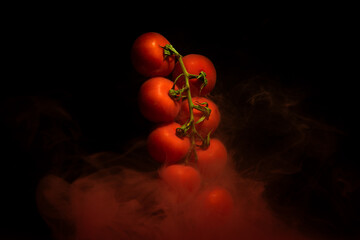 Tomatoes on a twig, vegetable plant with red motion liquid on black background