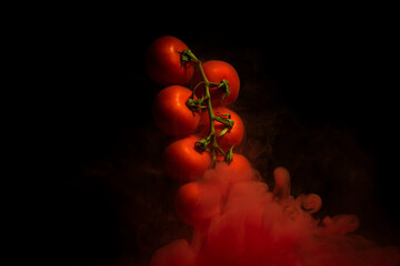 Tomatoes on a twig, vegetable plant with red motion liquid on black background