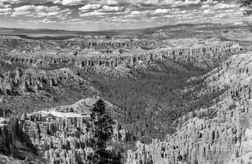 Bryce Canyon National Park in summer season - Panoramic view