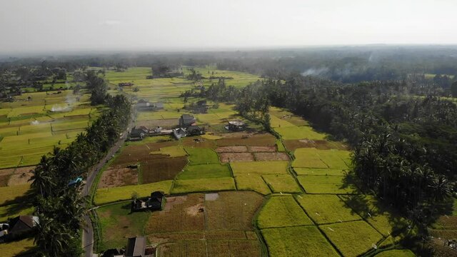 Aerial Rice Fields in Bali, Indonesia