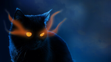 black mystical cat on the background of the night sky