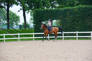 horsewoman horse riding