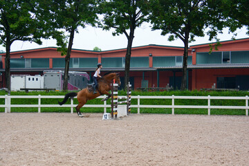 show jumping lessons