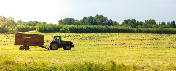 Tractor in the field for agricultural work. 