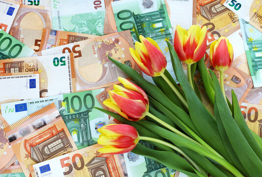 Bouquet of red-yellow tulips with green leaves on 50 and 100 euro banknotes background. Spring prices, sales, discounts, gifts, congratulations. Financial, economy, business concept. Place for text.
