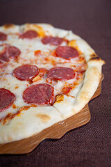 pepperoni pizza with sausage salts close up.