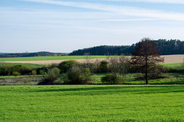 Landscape in Franconia, Germany in spring