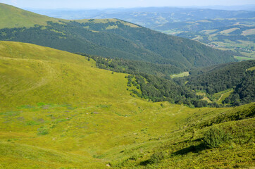 Fototapeta premium A beautiful landscape of summer mountains, grassy slopes on green rolling hills below a blue sky. Borzhava, Carpathian mountains, Ukraine