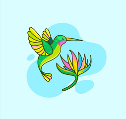 Funny colorful hummingbird flying near tropical flower on blue background.Colibri for design birthday cards,zoo ad,print,nature concept,children book.Bird in wild life.South America fauna.Vector