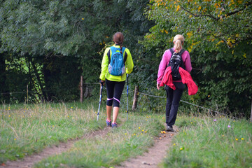 Wanderer von hinten im Herbst im Salzkammergut, Österreich, Europa - Hikers from behind in autumn...