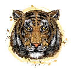 Tiger. Color, graphic, hand-drawn portrait of a tiger looking ahead on a white background with blots. Wall stickers
