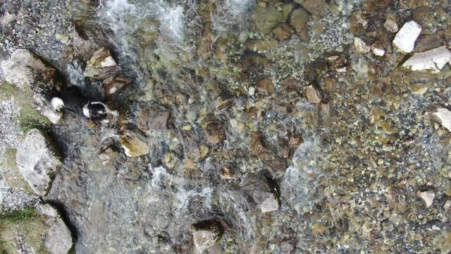 Lescun, Les Pyr&eacute;n&eacute;es, France, Europe
