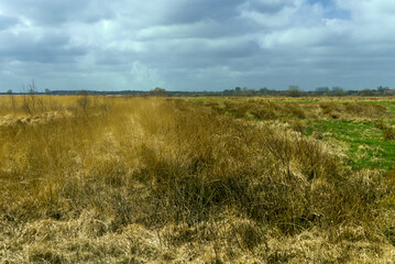 Moorlandschaft in Ostfriesland