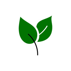 Eco leaves, logo, icon, template and design elements on white isolated background in green color. Vector illustration