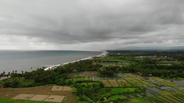 Aerial View With Rice Fields and Palm Trees on a Gloomy Day in Bali, Indonesia