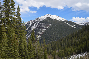 A snow capped mountain peeking through the forest in Colorado