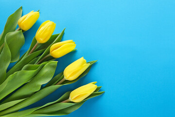 Bouquet of five yellow tulips with green leaves in bottom right corner on blue paper background. March 8 Women's Day. Mother's Day. Grandma Day. Happy Birthday. Easter. Place for text.