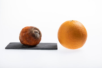 Juicy fresh and ripe orange next to one rotting orange fruit isolated on white