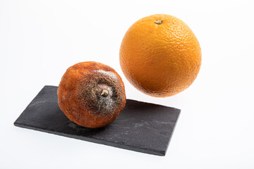 Juicy fresh and ripe orange next to one rotting orange fruit isolated on white