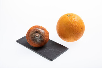 Juicy fresh and ripe orange next to one rotting orange fruit isolated on white