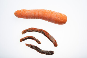 Fresh an ripe carrot next to three rotting carrots isolated on white