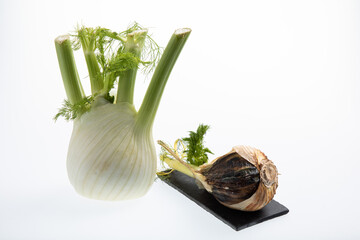 Fresh and rotten fennel bulbs isolated on white background